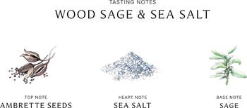 Wood Sage & Sea Salt Scented Home Candle