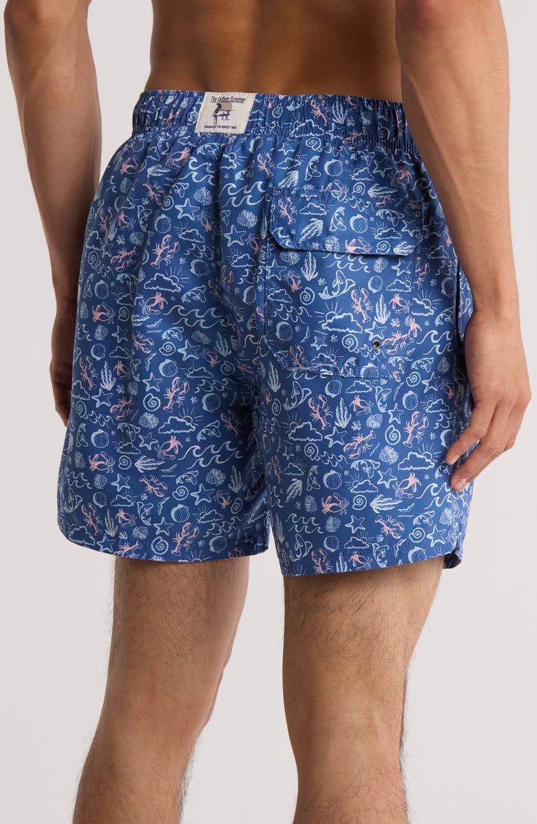 Vintage Summer Volley Swim Shorts, Alternate, color, Navy