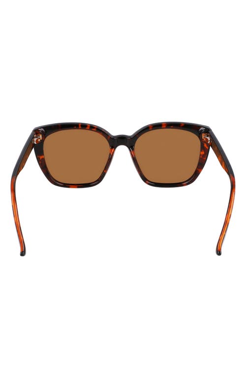 Cole Haan 55mm Cat Eye Sunglasses In Tortoise