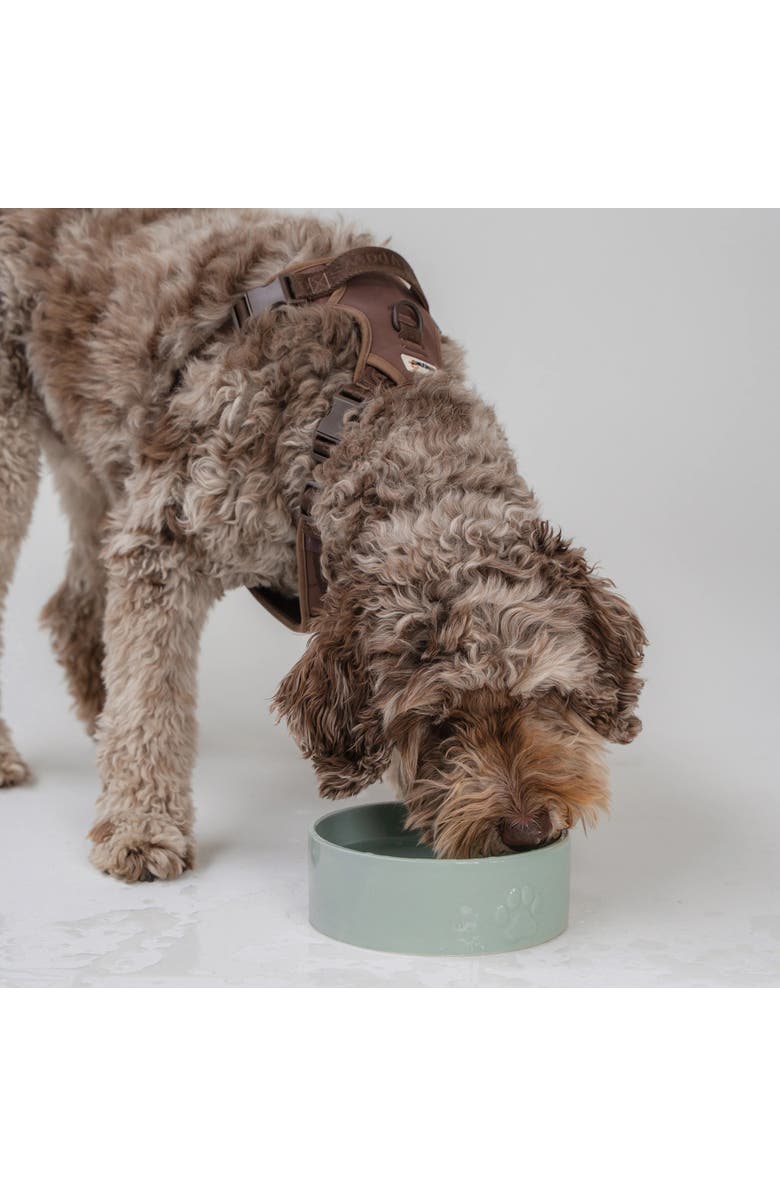 Dexypaws Ceramic Dog Bowl Sage Green 26oz, Alternate, color, Green