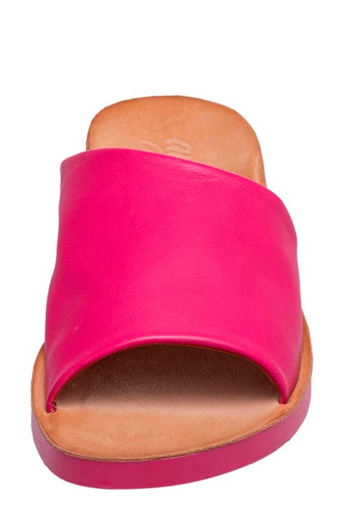 Antelope Ami Leather Slide Sandal In Fuchsia