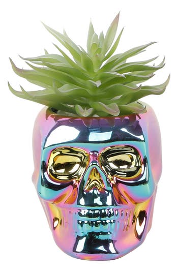 Flora Bunda Succulent