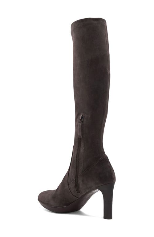 Aquatalia Rhumba Knee High Boot In Brown