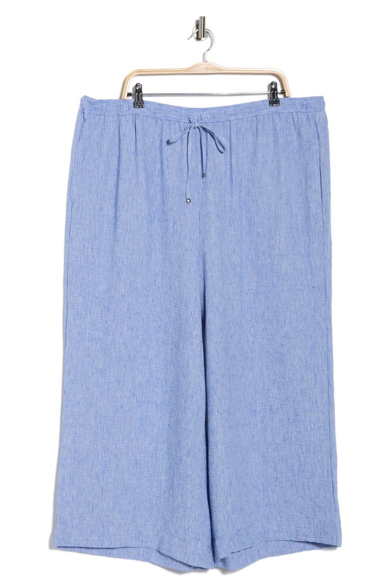 Crop Drawstring Pants, Alternate, color, CHMRY493-CHAMBRAY