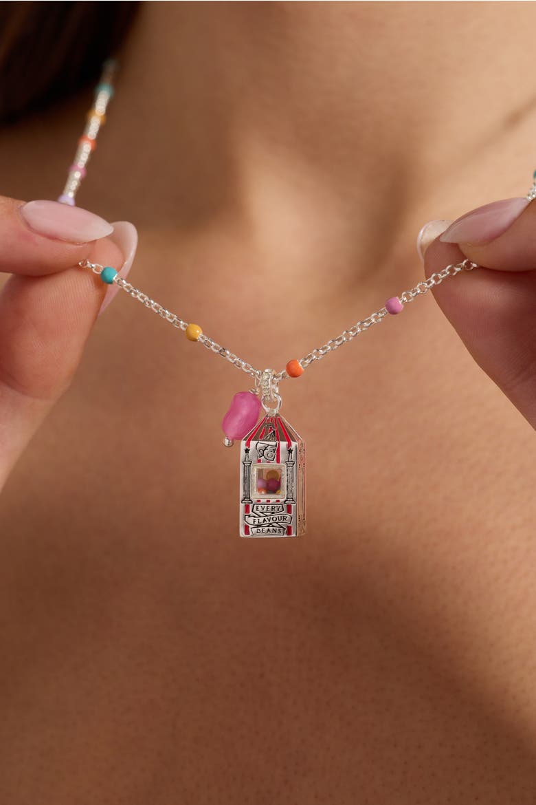 Harry Potter Sweet Nostalgia Bertie Bott's Necklace, Alternate, color, Silver
