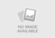 MCM Women's Brass Plate Loafers in Calfskin
