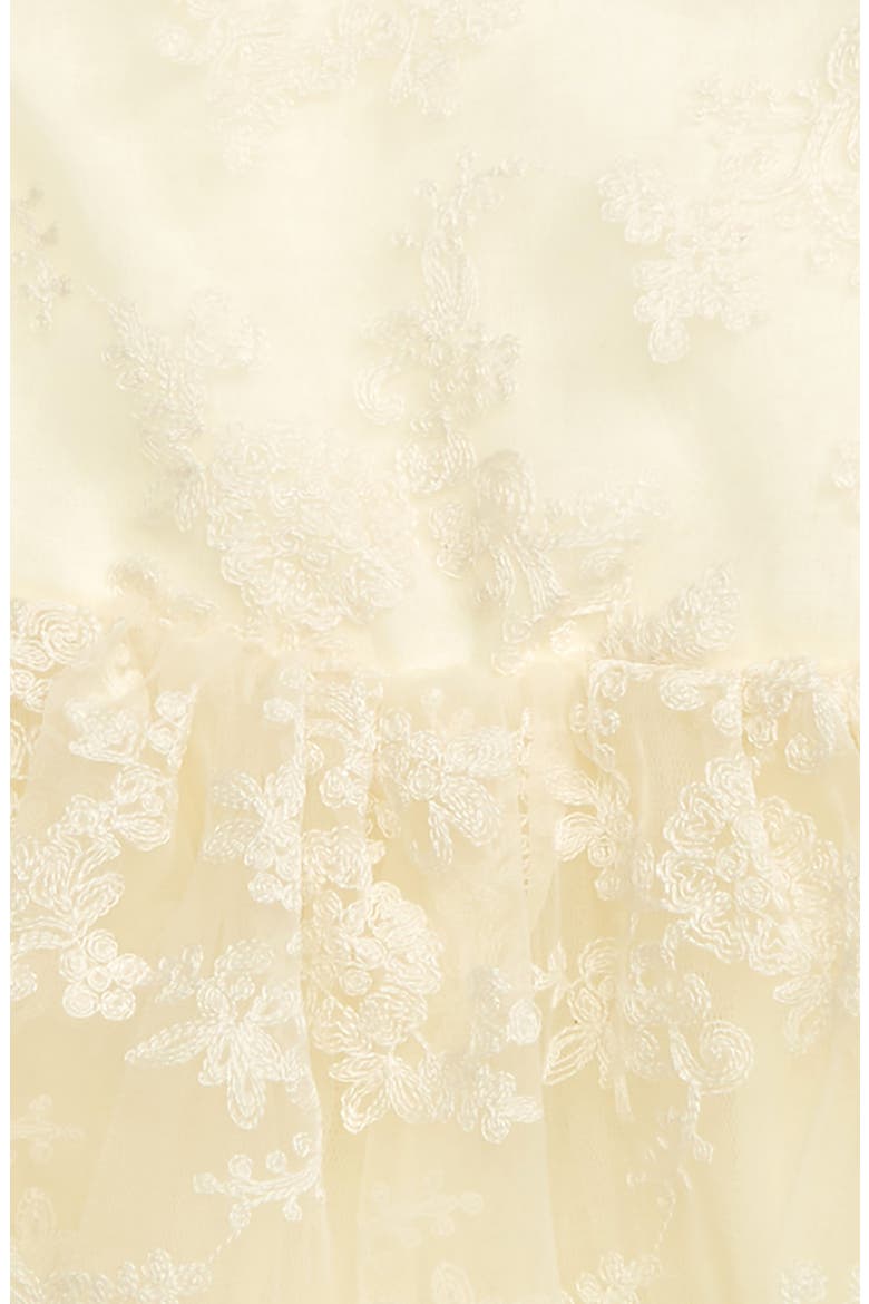 Floral Embroidered Organza Fit & Flare Dress, Alternate, color, CREAM
