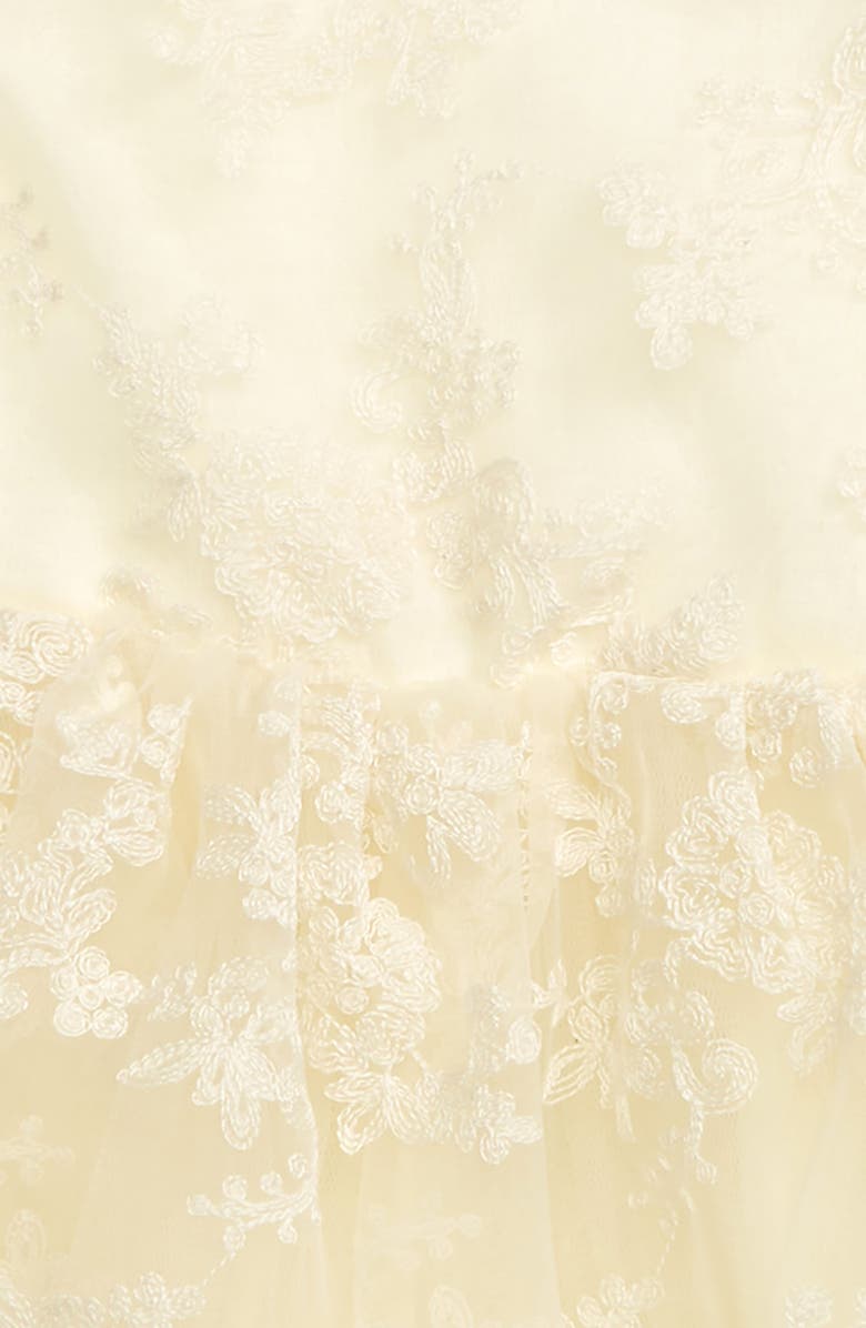 Popatu Floral Embroidered Organza Fit & Flare Dress, Alternate, color, Cream