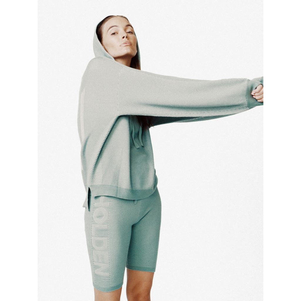 Holden Outerwear Icon Hoodie In Sage