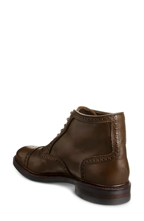 Allen Edmonds Hamilton Wingtip Waterproof Chukka Boot In Brown Leather