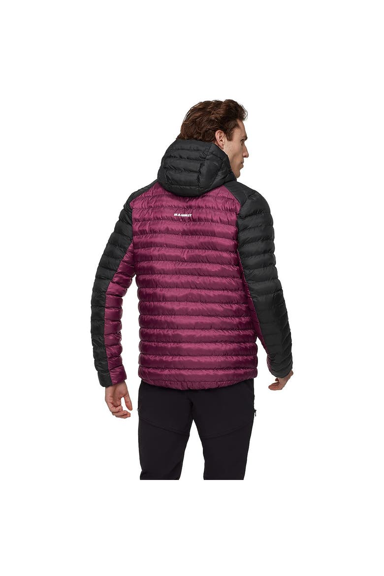 Albula In Hooded Jacket - Men's, Alternate, color, Vin/Black