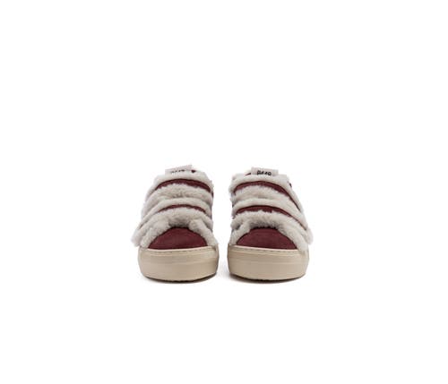P448 Thea Venice Platform Sneaker In Burgundy