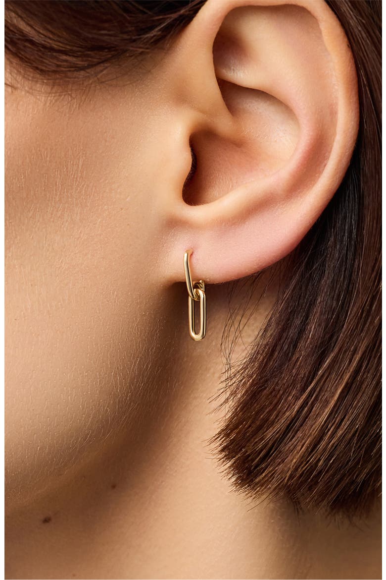 Solid Yellow Gold - Oval Links Drop Earrings, Alternate, color, Gold