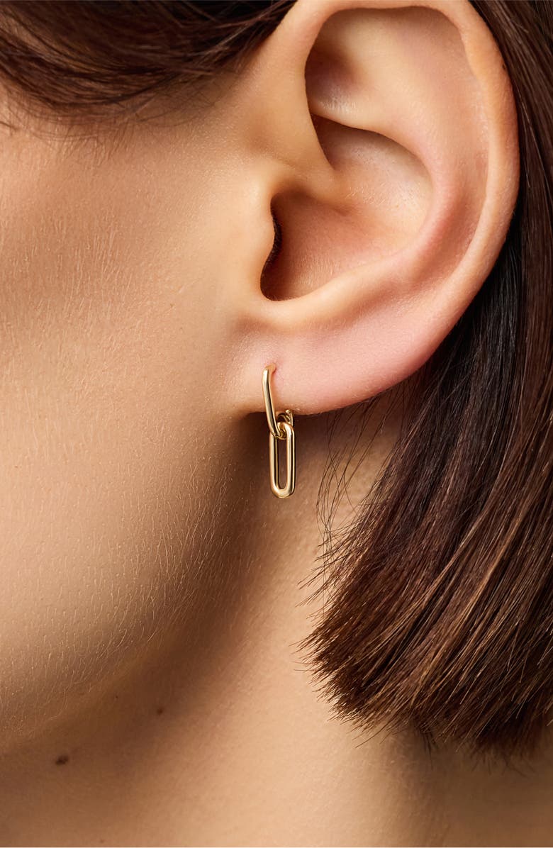 Ana Luisa Solid Yellow Gold - Oval Links Drop Earrings, Alternate, color, Gold