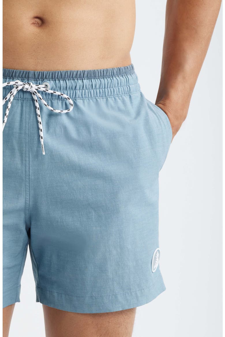 Blue Horizons 5.5-Inch Swim Trunks, Alternate, color, DUSTY BLUE