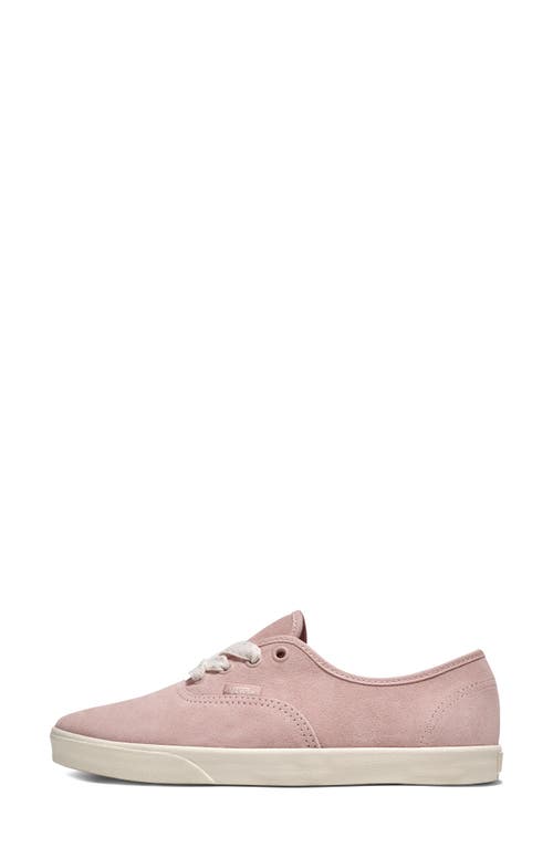 Vans Authentic Lowpro Sneaker In Pink