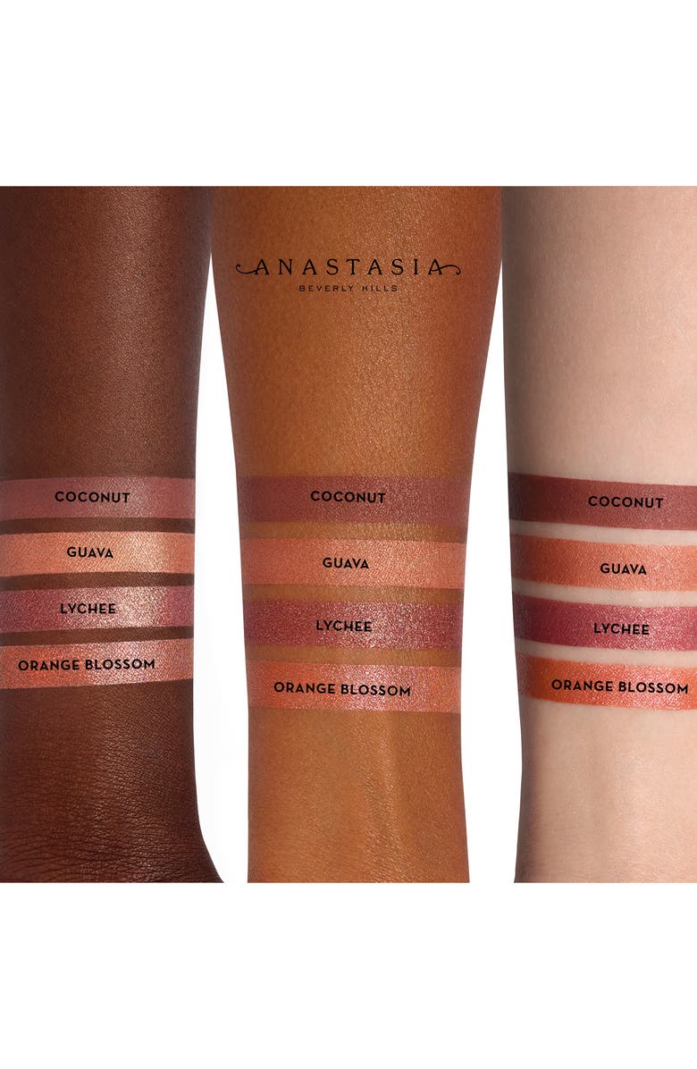 Anastasia Beverly Hills Mini Matte Lipstick Set, Alternate, color, 