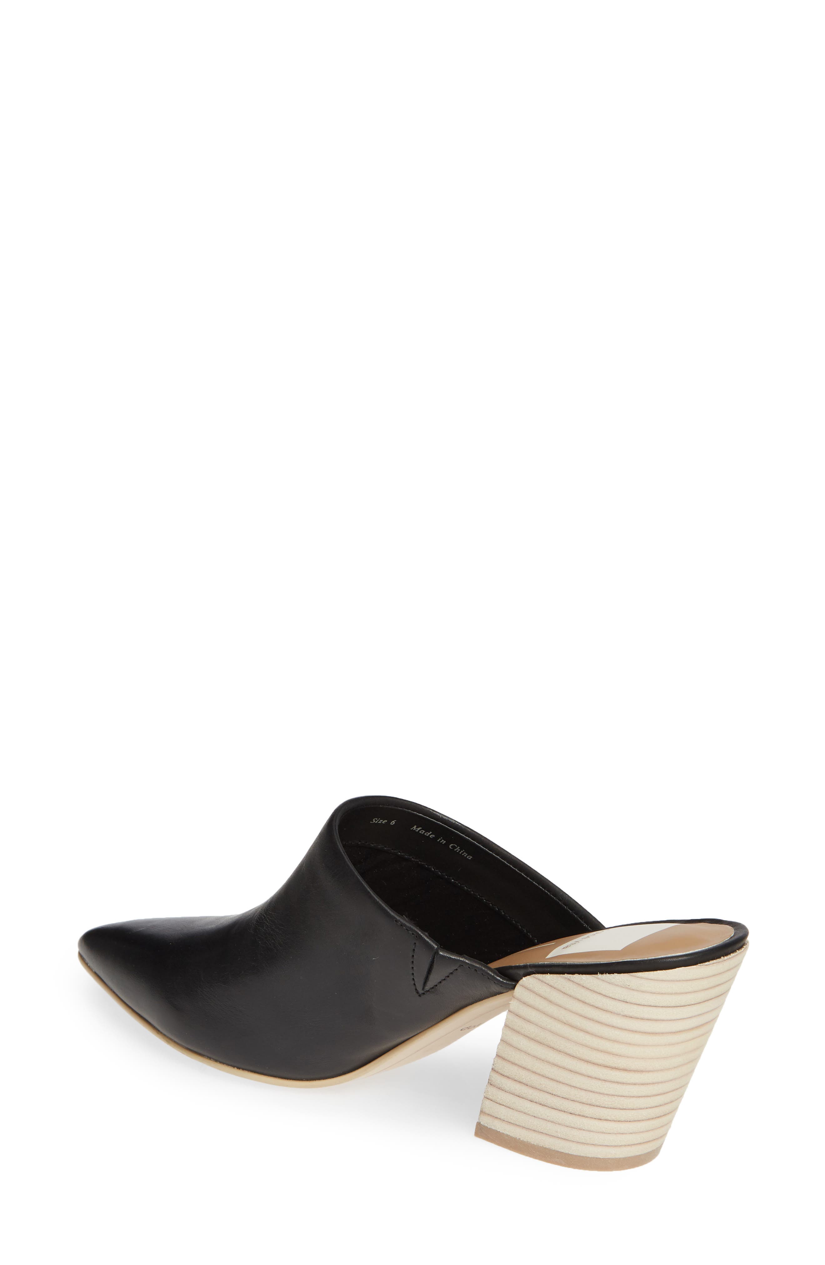 Dolce Vita Angela Pointy Toe Mule, Alternate, color, 