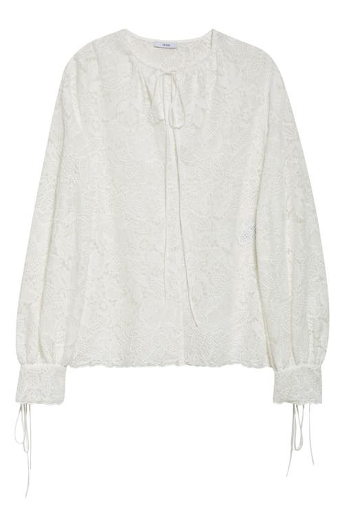 Erdem Long Sleeve Lace Top