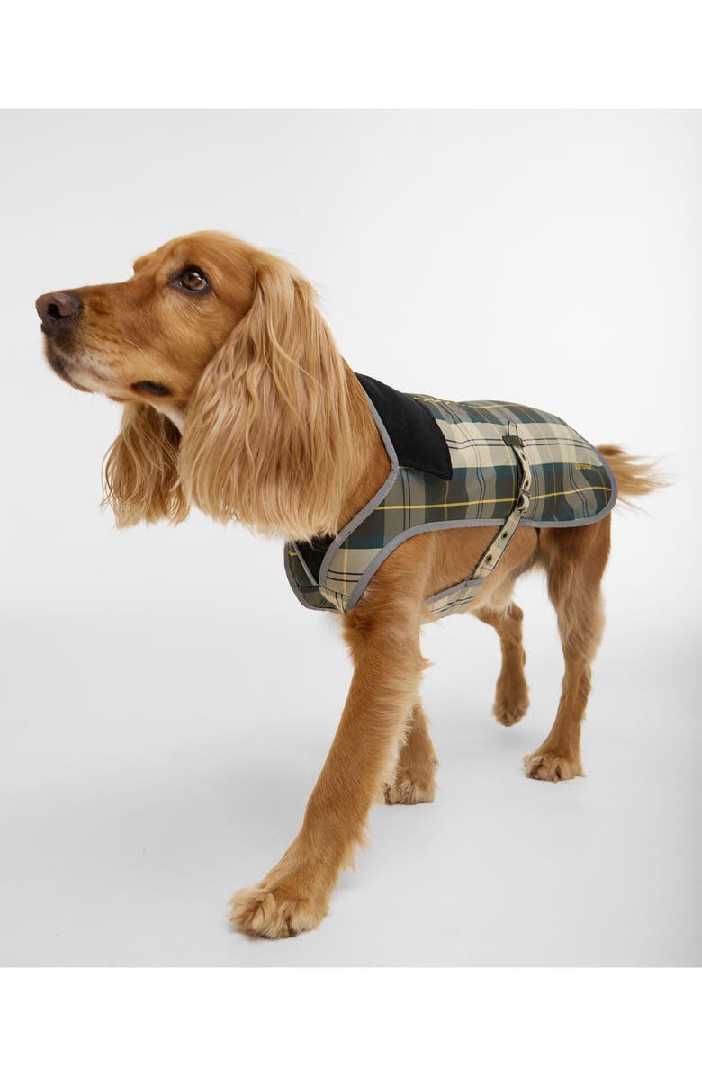 Barbour Tartan Waterproof Dog Coat, Alternate, color, Ancient Tartan