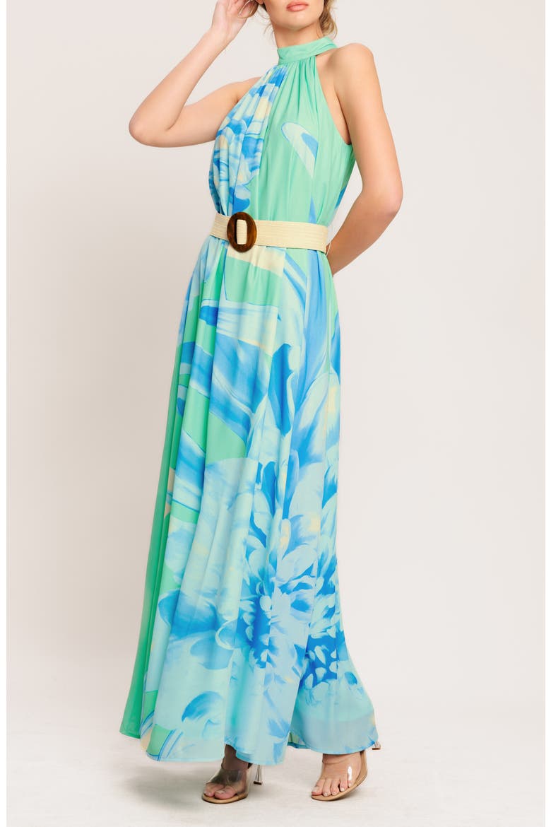Print Maxi Dress, Alternate, color, MINT/ BLUE