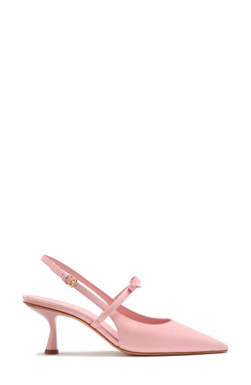 Kate Spade New York Carolina Pointed Toe Slingback Mary Jane Pump In Dogwood Pink