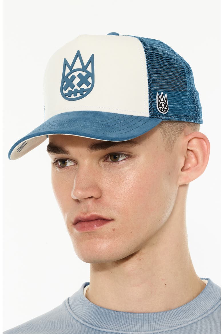 Logo Mesh Back Suede Trucker Hat, Alternate, color, WINTER WHITE