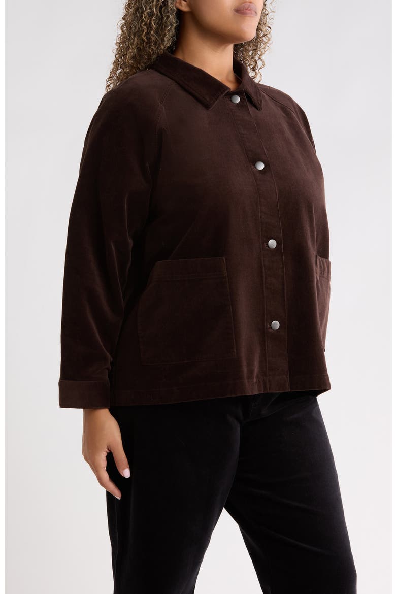 Classic Collar Corduroy Jacket, Alternate, color, COFFEE