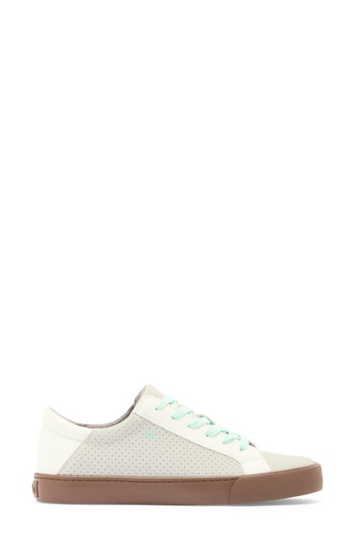Mykos Vita Perforated Low Top Sneaker In Gray