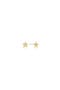 selected Yellow Gold