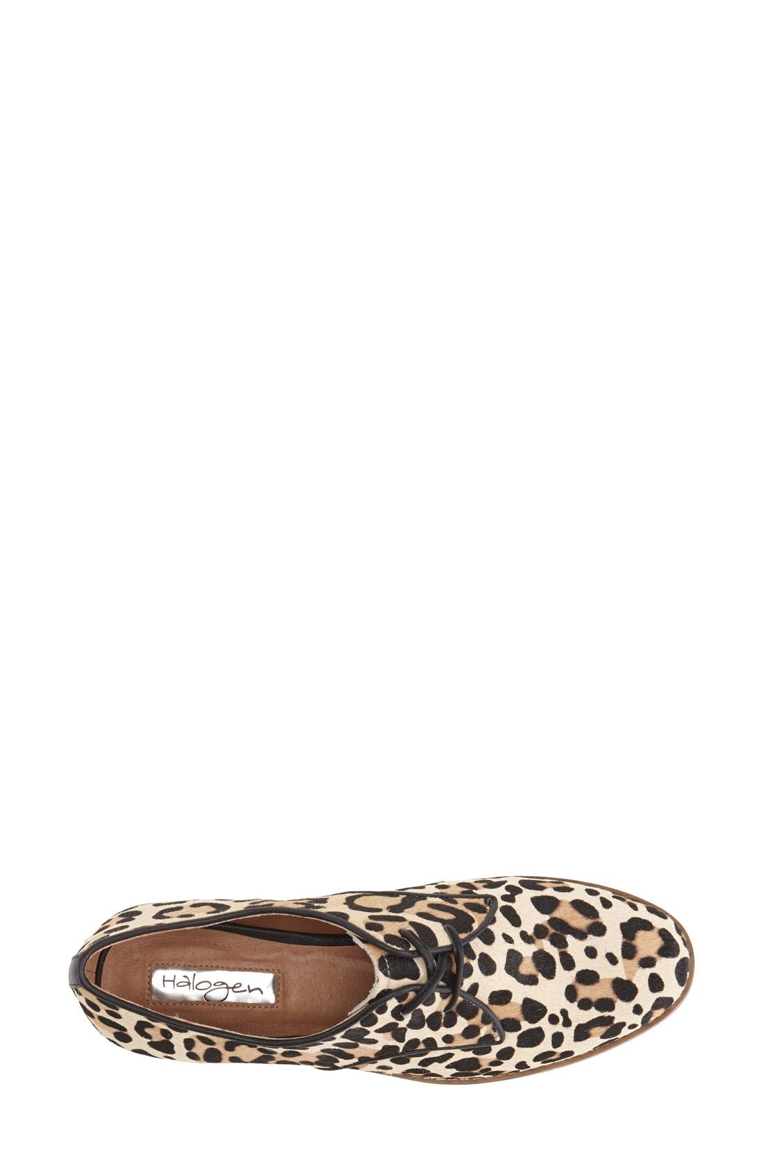 Halogen<sup>®</sup> 'Lacey' Oxford, Alternate, color, 