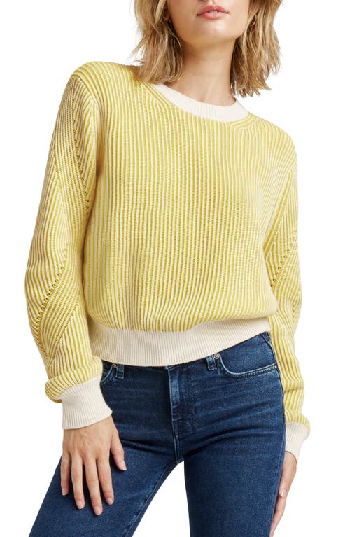 Splendid Ashlyn Rib Cotton Sweater In Yellow