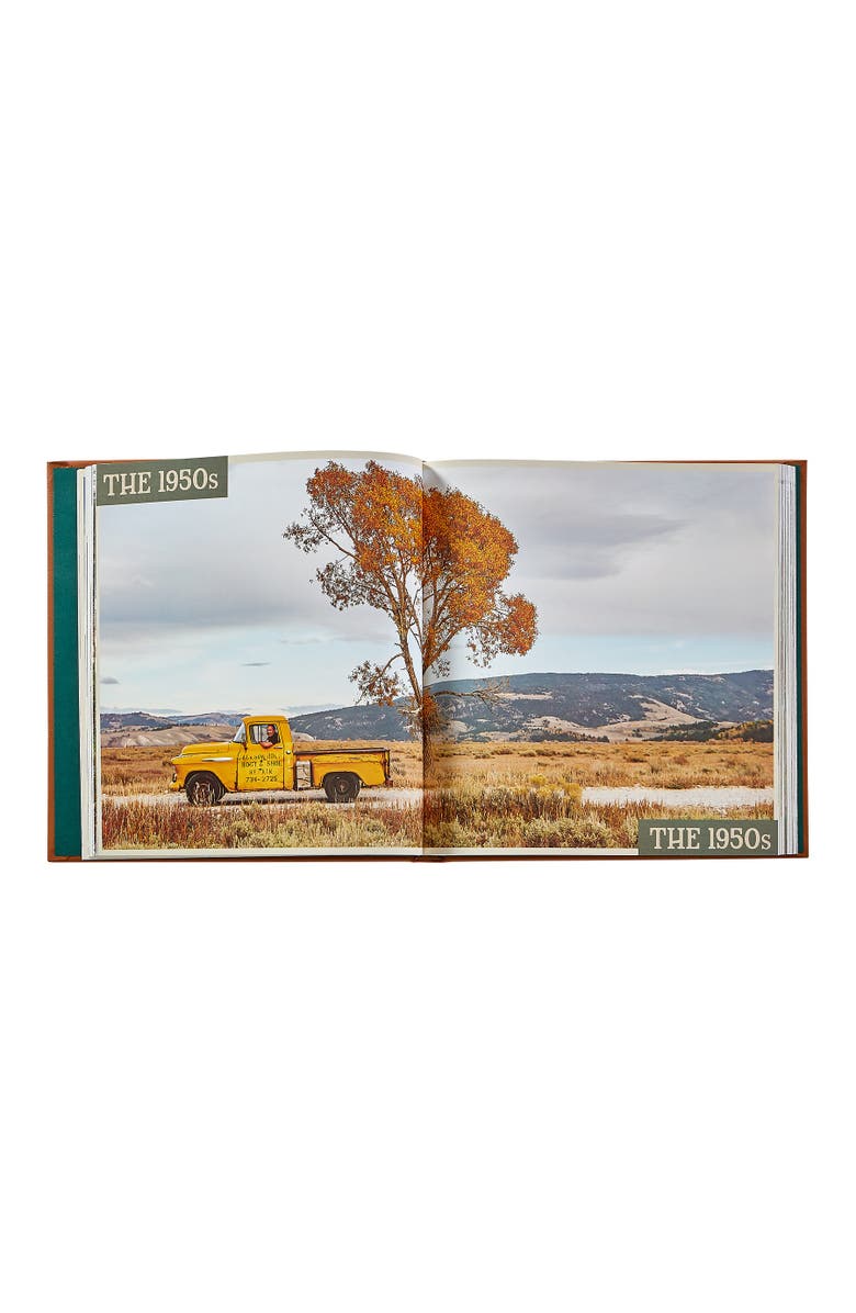 Graphic Image Mountain Rides by Johnny Vacay Leather Edition, Alternate, color, Tan