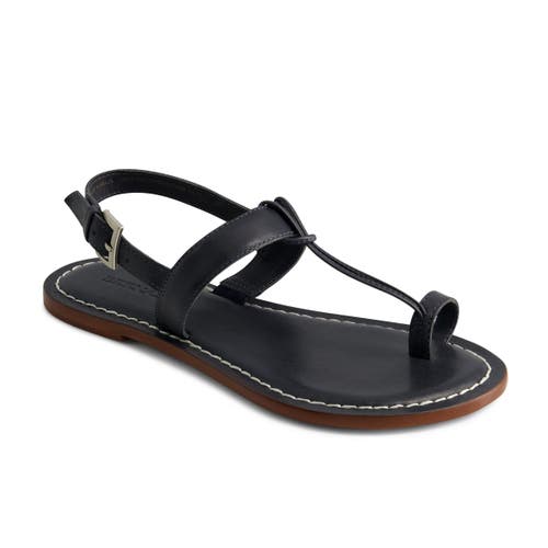 Bernardo Footwear Maverick 2 Toe Loop Sandal In Navy