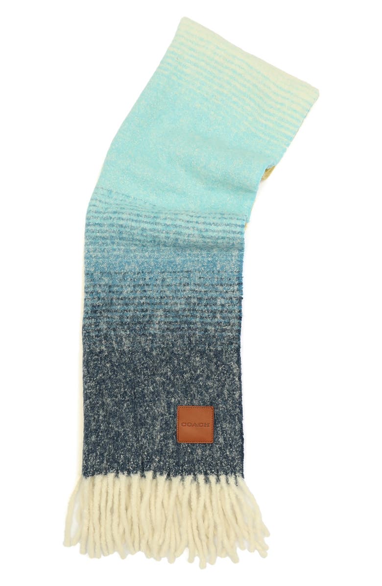 COACH Alpaca Blend Ombré Muff Scarf, Alternate, color, Navy Multi