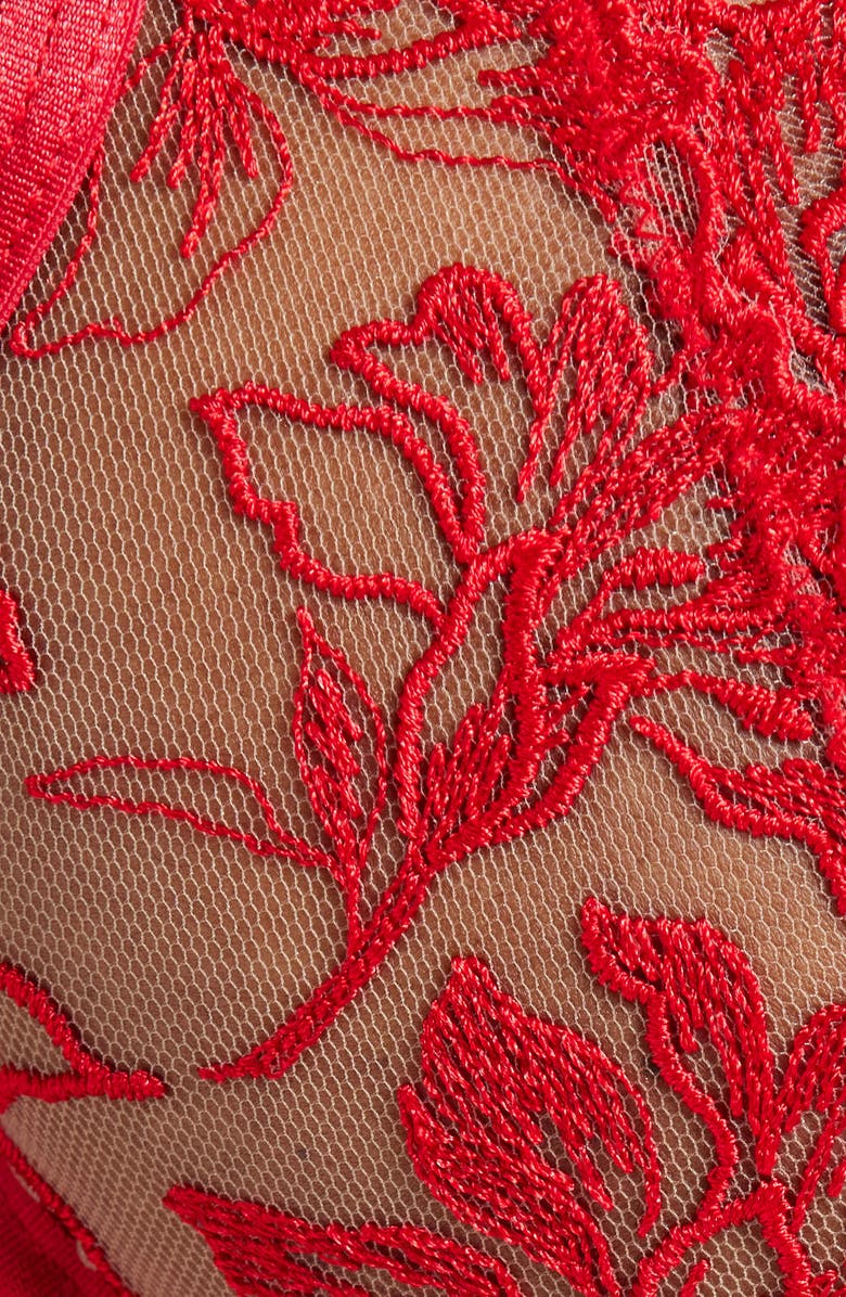 Bluebella Samara Underwire Bra, Alternate, color, Red/ Sheer