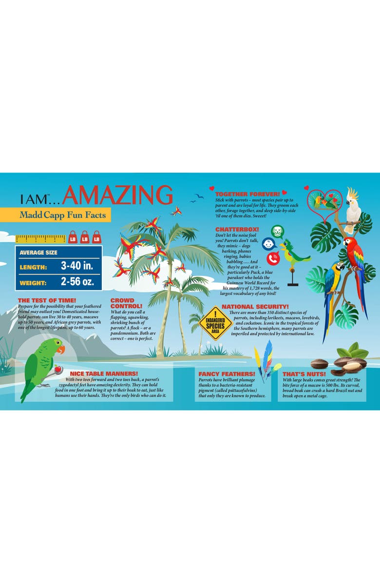 Madd Capp Parrot 300 Piece Jigsaw Puzzle, Alternate, color, Multicolored