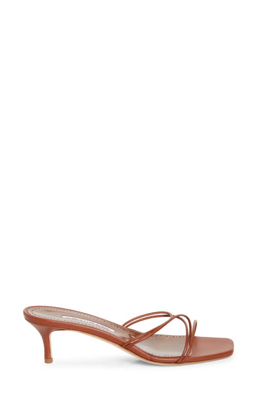 Manolo Blahnik Ninefemu Strappy Kitten Heel Slide Sandal