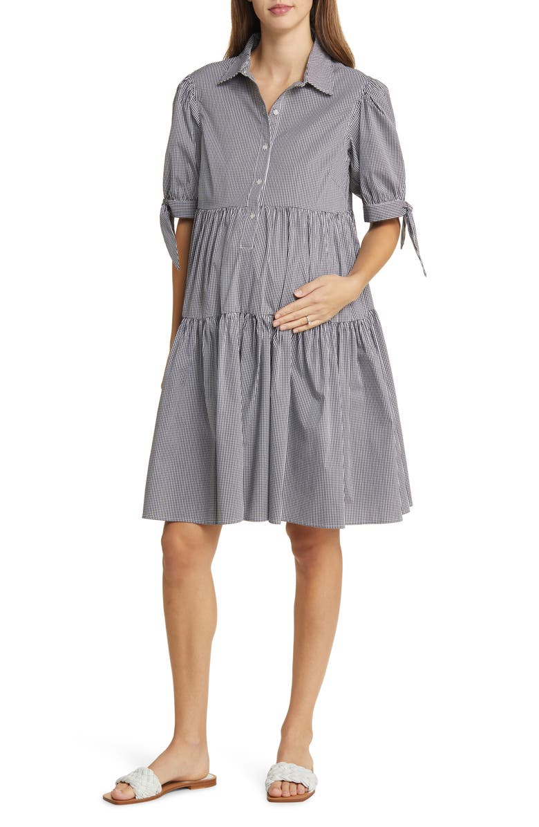 Emilia George Babette Maternity/Nursing Dress, Main, color, 