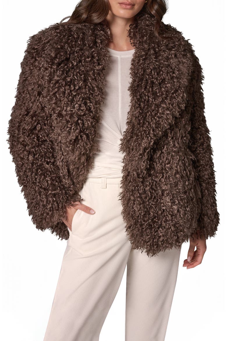 Faux Fur Shawl Collar Jacket, Alternate, color, ESPRESSO