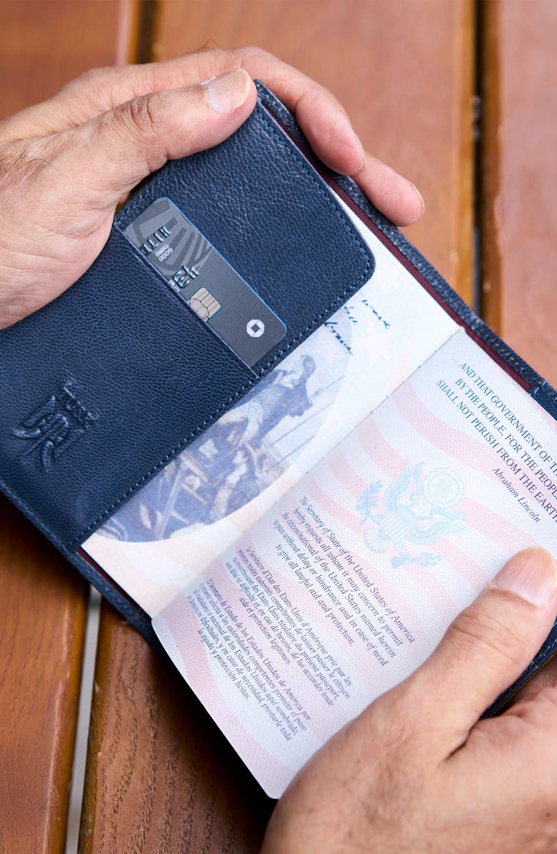 Tusk Siam Passport Cover, Alternate, color, Chocolate / Blue
