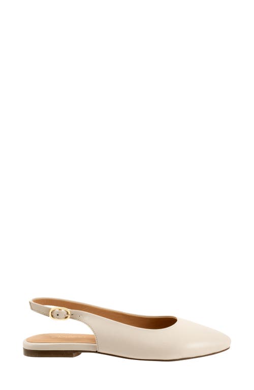 Trotters Evelyn Pointed Toe Slingback Flat In Ivory