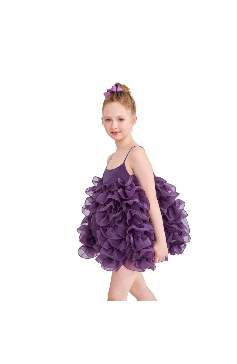 Tulleen Vionara Ruffle Dress, Alternate, color, Purple