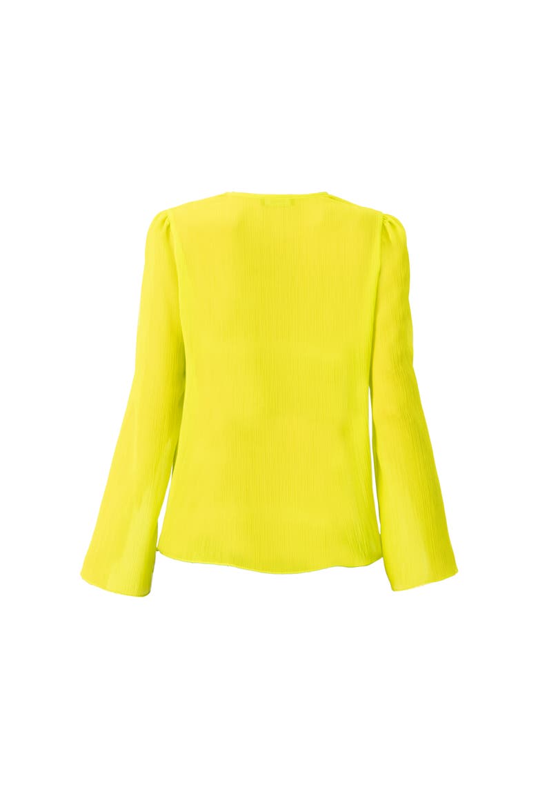 Long Sleeve V-Neck Tunic Blouse, Alternate, color, Light Green