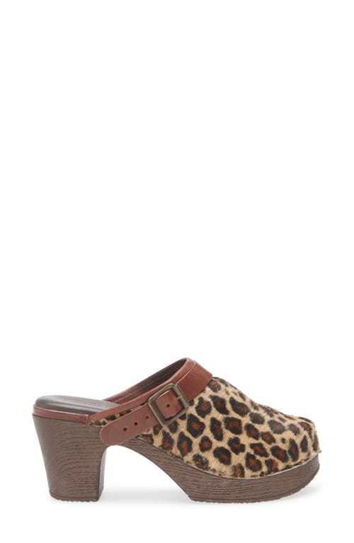 Chocolat Blu Faro Genuine Calf Hair Platform Mule In Multi