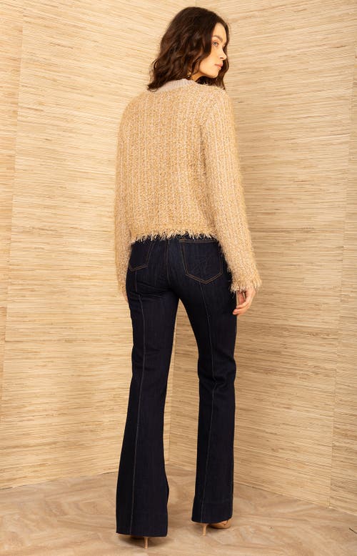 Hale Bob Madalyn Boucle Cardigan In Brown