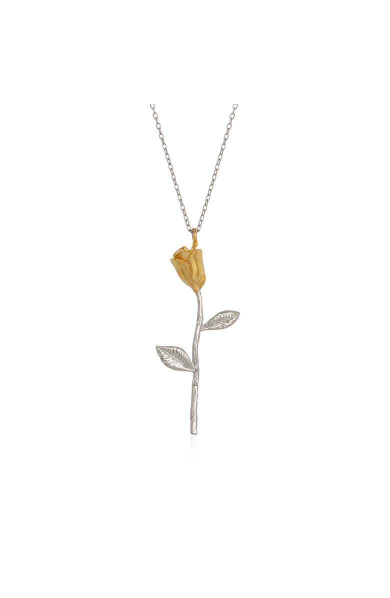 Spero London Gold Color Rose Sterling Silver Necklace, Main, color, Silver