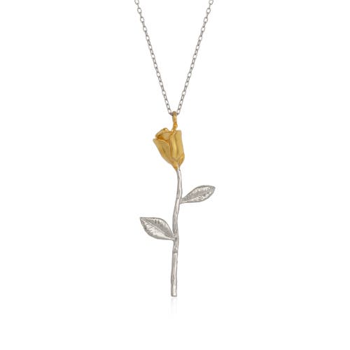 Spero London Gold Color Rose Sterling Silver Necklace In Silver