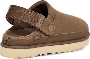 Goldenstar Clog