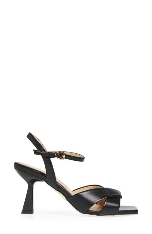 Ron White Ainsley Ankle Strap Sandal In Onyx